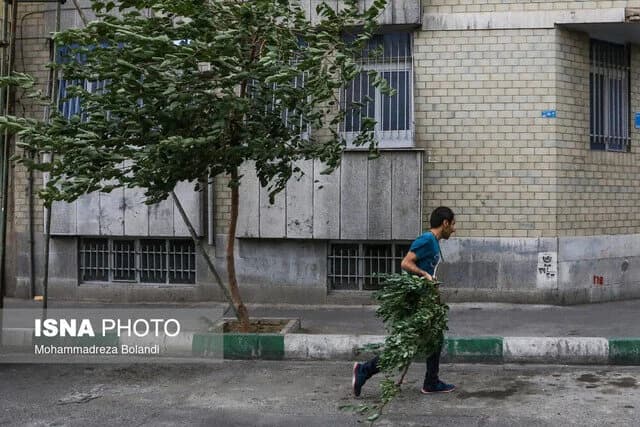 هشدار افزایش وزش باد در تهران