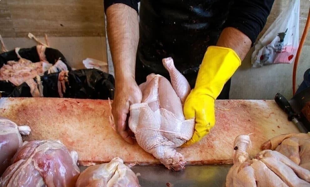 هر کیلوگرم مرغ چقدر شد؟