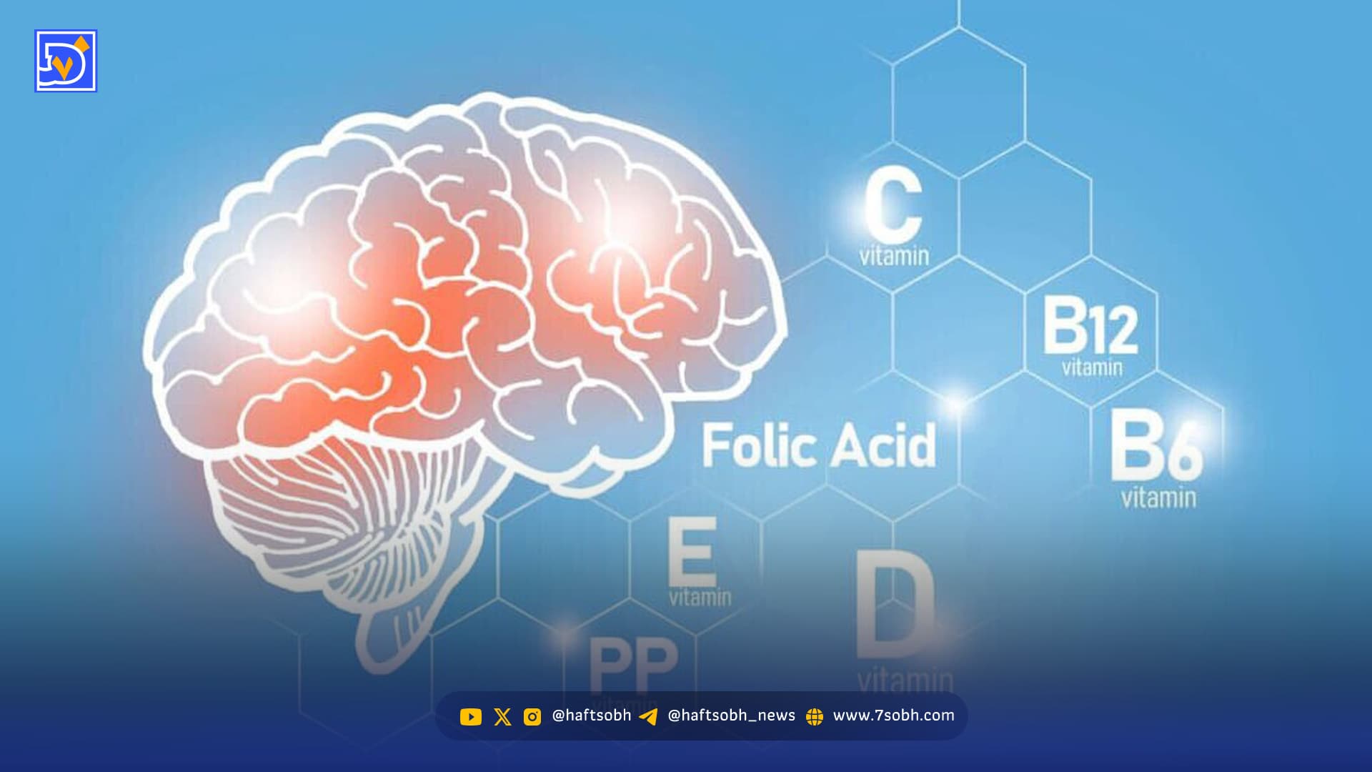 کمبود این ویتامینها باعث ضعف حافظه میشود/ موثرترین راه پیشگیری