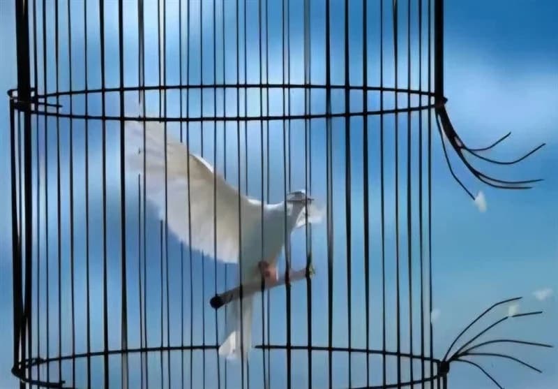 نرخ دیه سال ۱۴۰۵