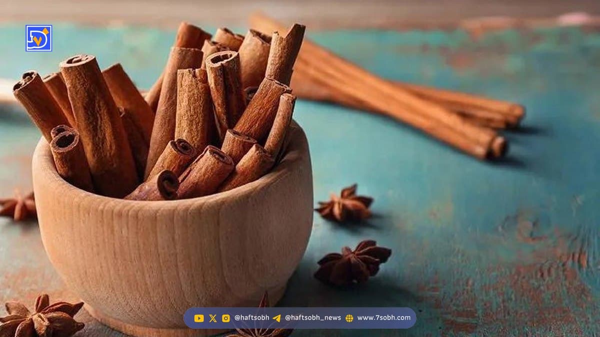 ادویهای با ارزشتر از طلا؛ داستانی که مسیر تاریخ را عوض کرد