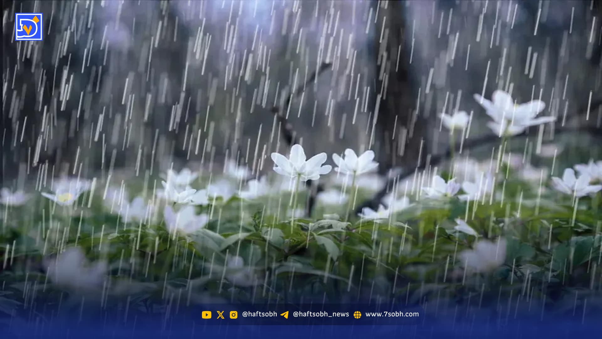 میزان بارشها در کل کشور اعلام شد/ بارندگی کی در تهران آغاز میشود؟