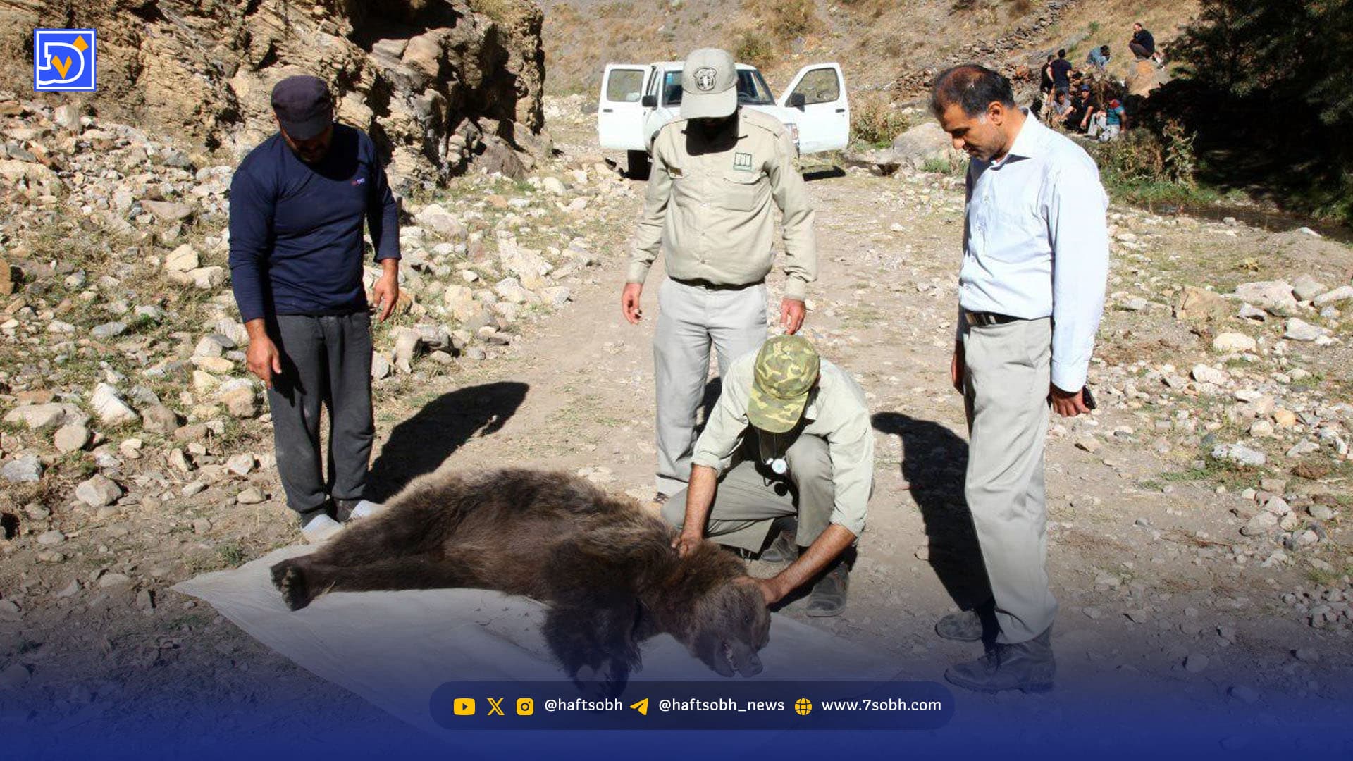 حیوانات پشت دیوار خانهها