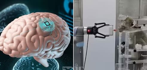 ایمپلنت مغزی که با هوش مصنوعی افکار شما را رمزگشایی میکند