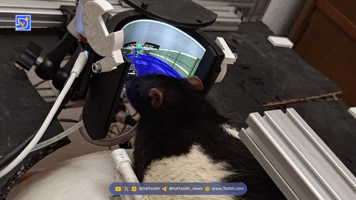 دانشمندان به موشها DOOM بازی کردن را یاد دادهاند