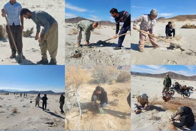 همافزایی برای مهار ریزگردها در تالابهای طشک و بختگان فارس