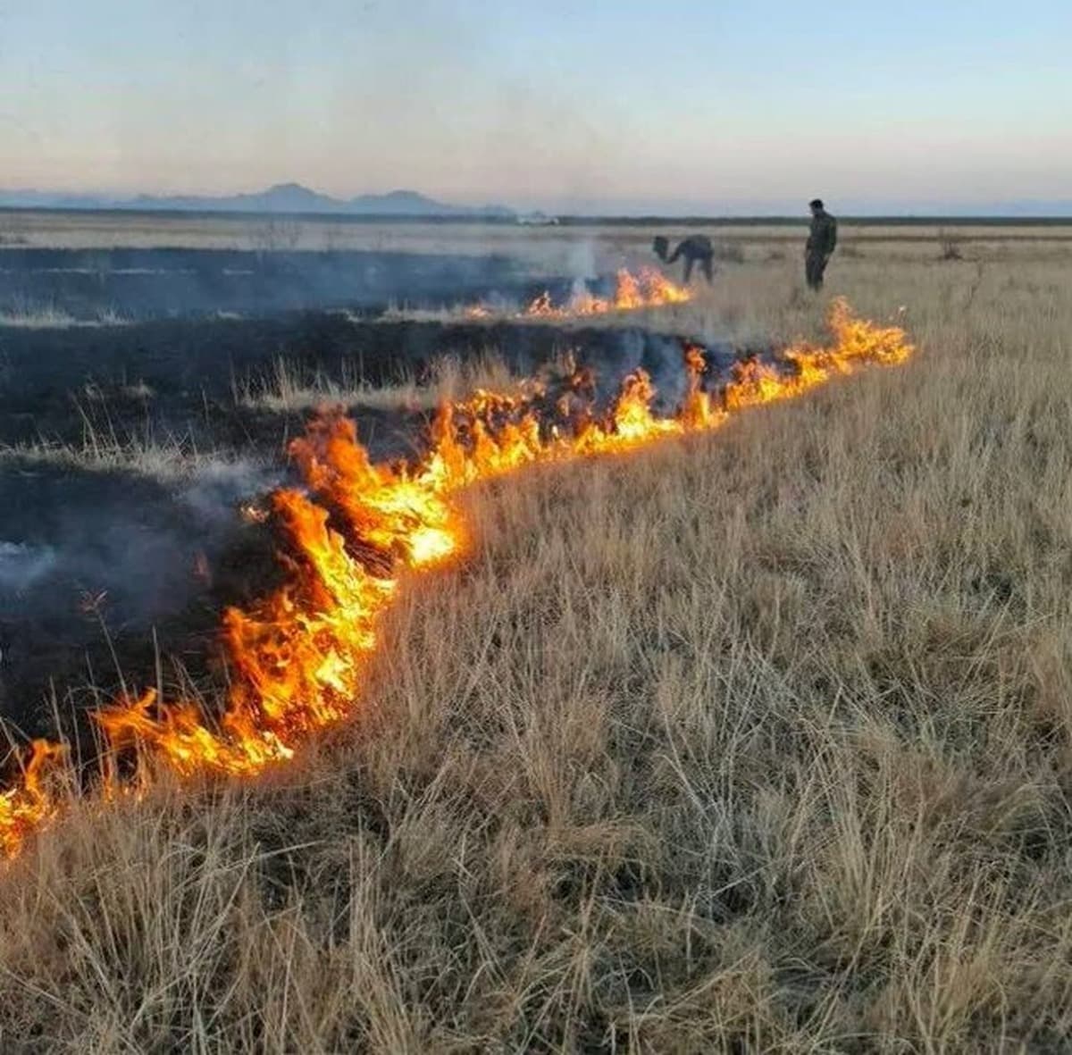 جزئیات مهار آتشسوزی در پارک ملی دریاچه ارومیه