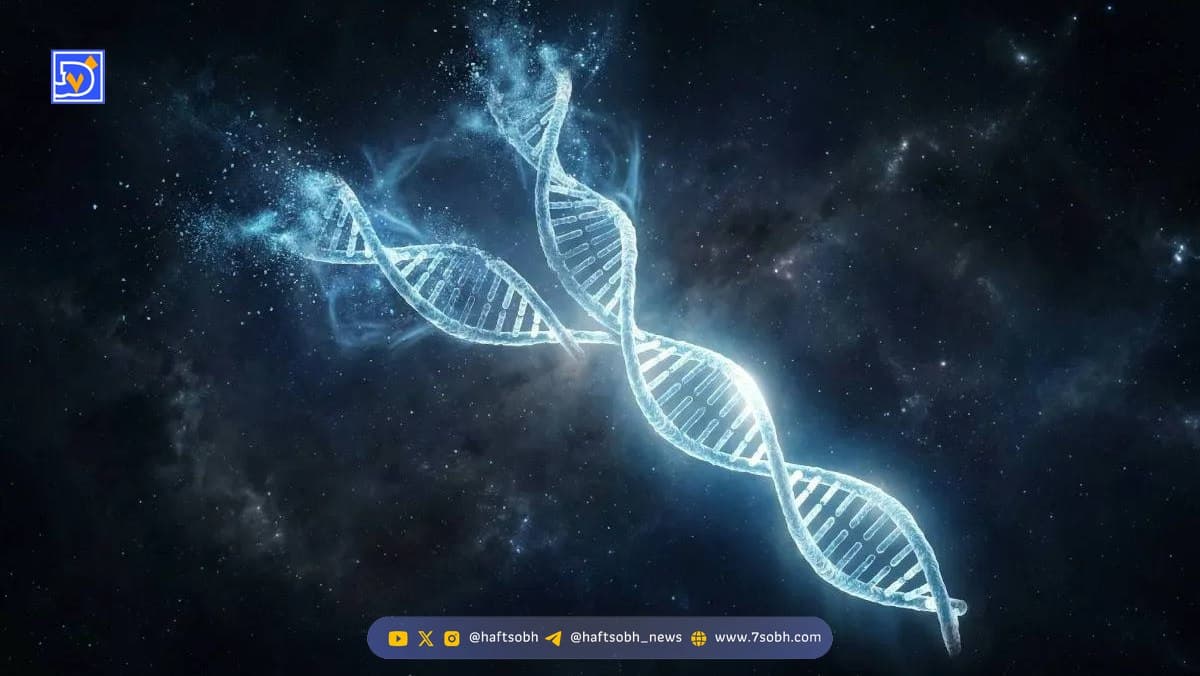 ماجرای انقراض مردان به دلیل نابودی کروموزوم Y