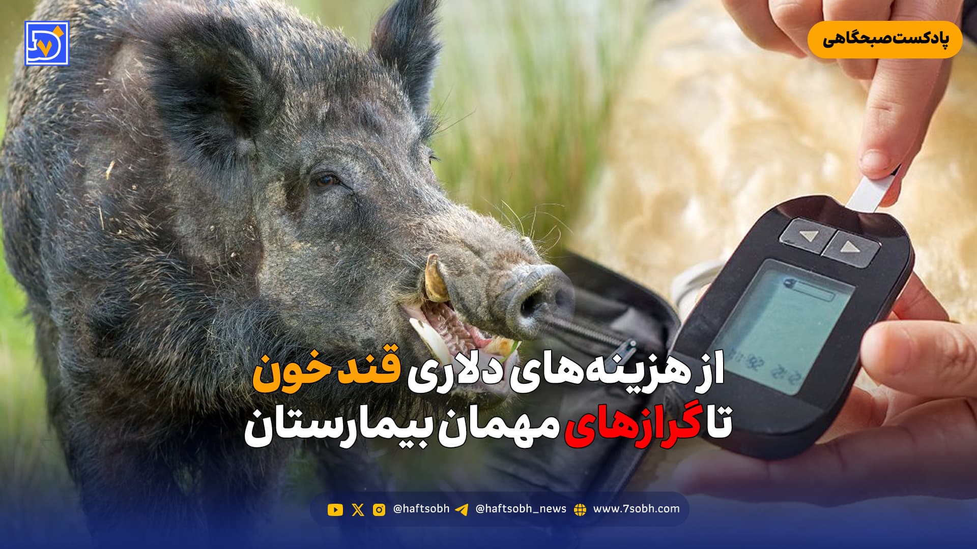 از هزینههای دلاری قند خون تا گرازهای مهمان بیمارستان