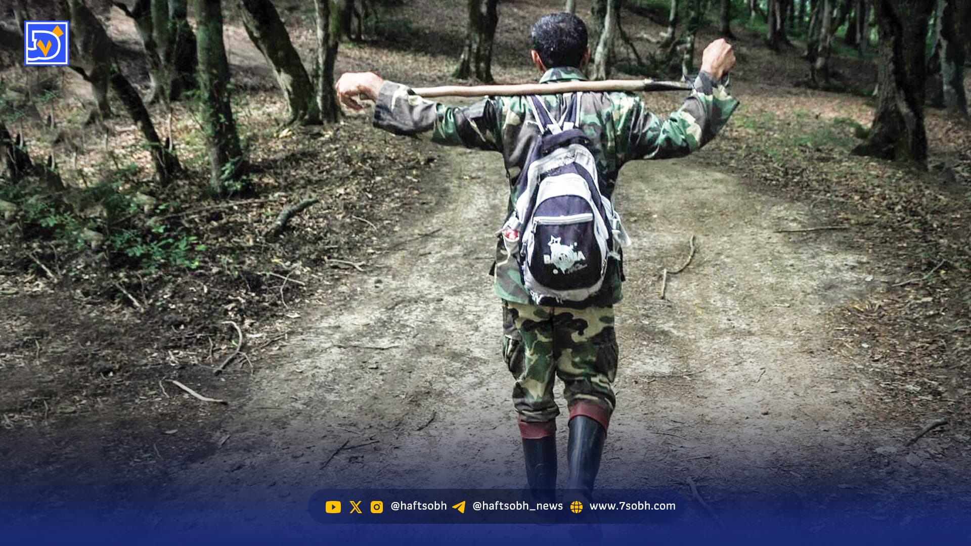 یک تا پنج ماه حقوق معوق جنگلبانان شرکتی فارس