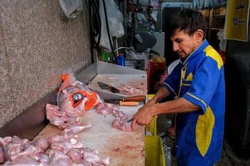 قیمت مرغ در تهران چهارشنبه 24 دی 1404 / گرانی ادامه دارد