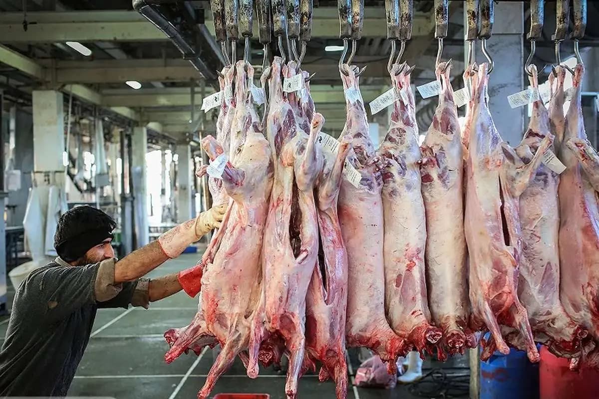 گوشت قرمز کالای لوکس شد؟ / قیمتهای عجیب و غریب گوشت قرمز