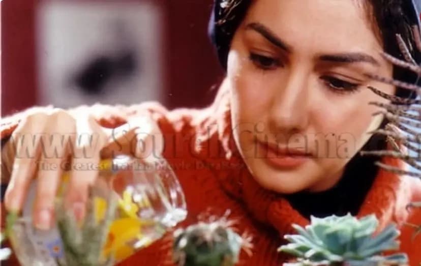 معرفی بهترین فیلمهای «هانیه توسلی» در اولین سالهای بازیگریاش
