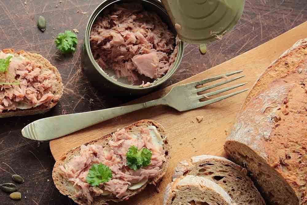 حراج ماهی تن؛ ۴۸۰ میلیارد تومان ناقابل