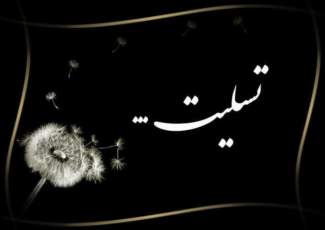 شهادت دو دانشجوی دانشگاههای «تهران» و «امیرکبیر» در پی حملات اخیر