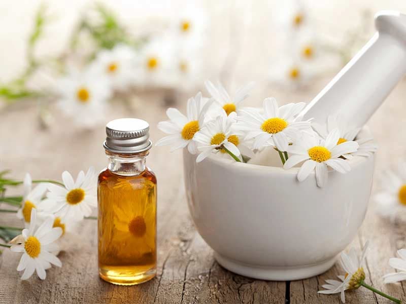 بهترین داروی گیاهی برای خارش پوست