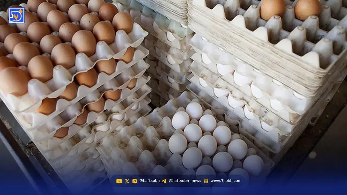 قیمت جدید تخممرغ در بازار اعلام شد